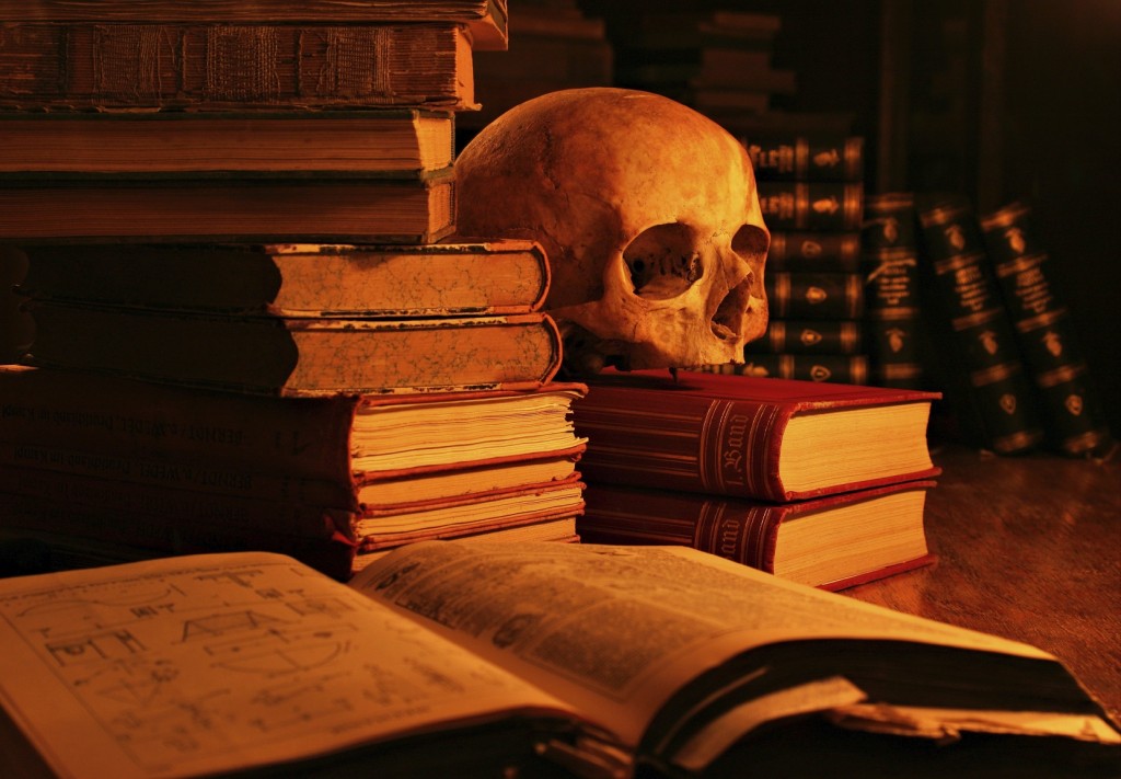 Death of Literature - Skull and Book