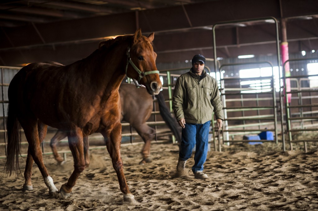 Veterans corral horses to take rein of own lives